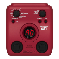 Preview: Zoom B1
