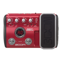 Preview: Zoom B2.1u