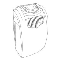 Preview: Amana AP095R