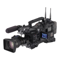 Preview: Panasonic P2HD AJ-HPX3100