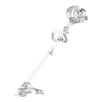 Preview: Craftsman WEEDWACKER 316.791201