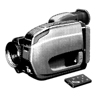 Preview: Panasonic Palmcorder IQ PV-IQ404