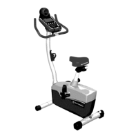 Preview: Schwinn 231