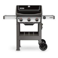 Preview: Weber Spirit SP-210