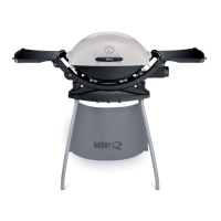 Preview: Weber Q200