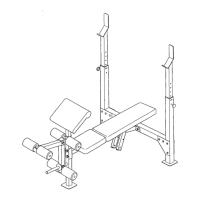 Preview: Weider PRO 800