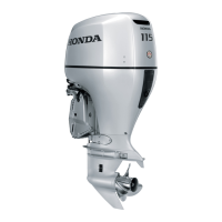 Preview: Honda Marine BF115D