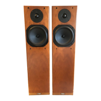 Preview: Rega JuraLoudspeaker