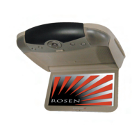 Preview: Rosen DVD Entertainment System