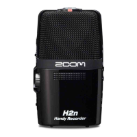 Preview: Zoom H2next
