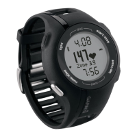 Preview: Garmin Forerunner 210
