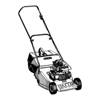 Preview: Hayter Hobby 41