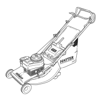 Preview: Hayter Hawk 308A