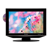 Preview: Sharp LC-19DV24U