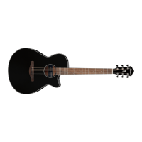 Preview: Ibanez ACOUSTIC GUITAR