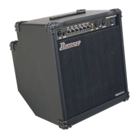 Preview: Ibanez SW65