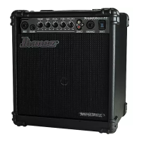 Preview: Ibanez SW20