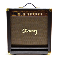 Preview: Ibanez TA25