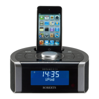 Preview: Roberts DreamDock