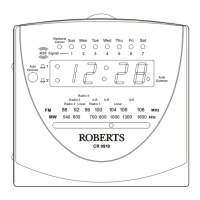 Preview: Roberts CR9919