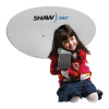 Satellite TV System Logo