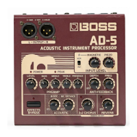 Preview: Boss AD-5