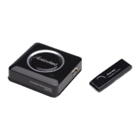 Preview: ActionTec ScreenBeam SBWD100A