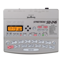 Preview: Zoom Street boxx SB-246