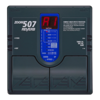 Preview: Zoom 507 REVERB