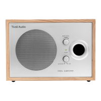 Preview: Tivoli Audio Model Subwoofer