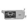 Car Video System Logo