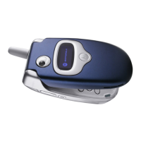 Preview: Motorola V300