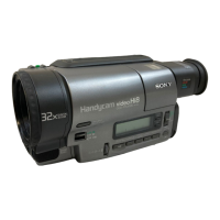 Preview: Sony Handycam CCD-TR3000