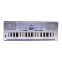 Preview: Yamaha Portable Grand DGX-205