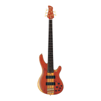 Preview: Yamaha TRB-5IIF