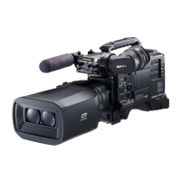 Preview: Panasonic P2HD AG-3DP1G