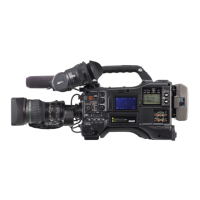 Preview: Panasonic P2HD AJ-HPX3100G