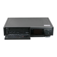 Preview: Panasonic NV FS100
