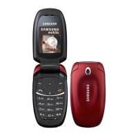 Preview: Samsung SGH-C520