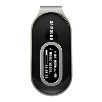 Preview: Samsung YP-F1