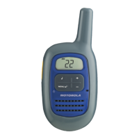 Preview: Motorola FV200