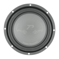 Preview: Power Acoustik PW2-10M