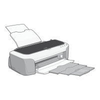 Preview: Epson Stylus Photo 2100 / 2200