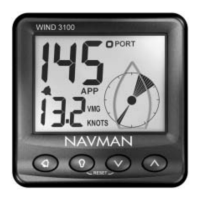 Preview: Navman WIND 3100