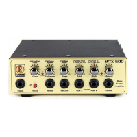 Preview: Eden WTX-500
