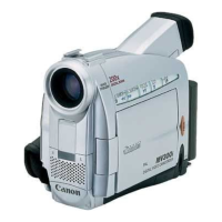 Preview: Canon MV 300