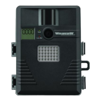 Preview: InfraredXtreme STC-TGLX35IR