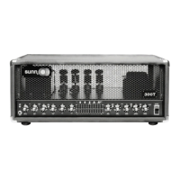 Preview: Sunn 300T