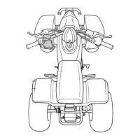 Preview: Yamaha BLASTER YFS200T