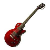 Preview: Gibson DARK FIRE